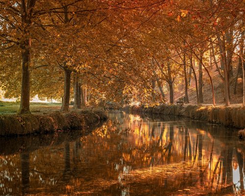 Coordinadora de contenidos trabajando